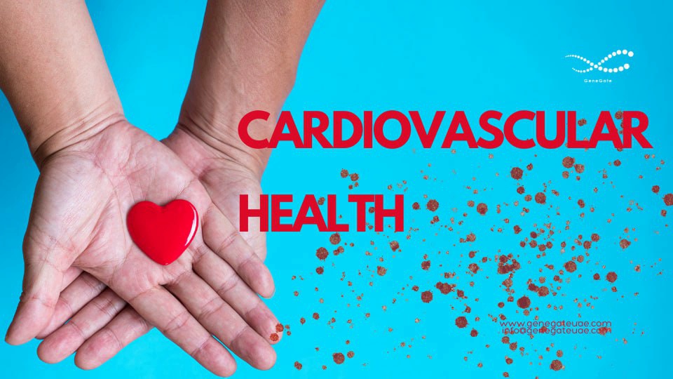 Cardiovascular Health